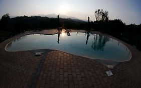 Terra di Magie